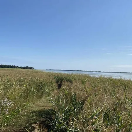 Dom wakacyjny 8 Person In *